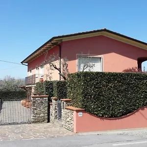 Serena , Capannori Italia