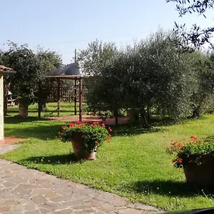 3 Km Dal Mare , Castagneto Carducci Italia